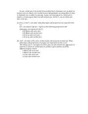 in cats curled ears result from an allele|Chapter 3 genetics Flashcards .